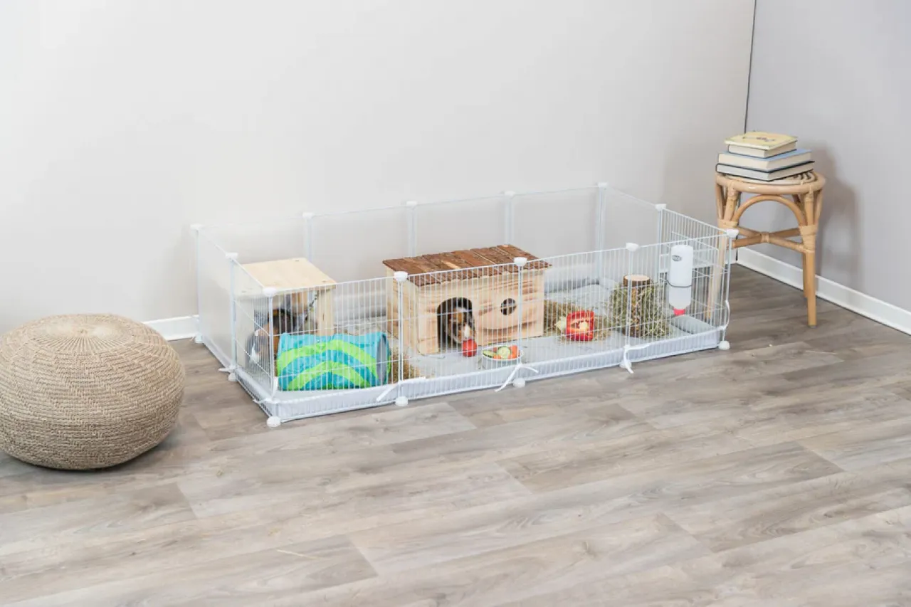 Boden für Indoor Freilaufgehege